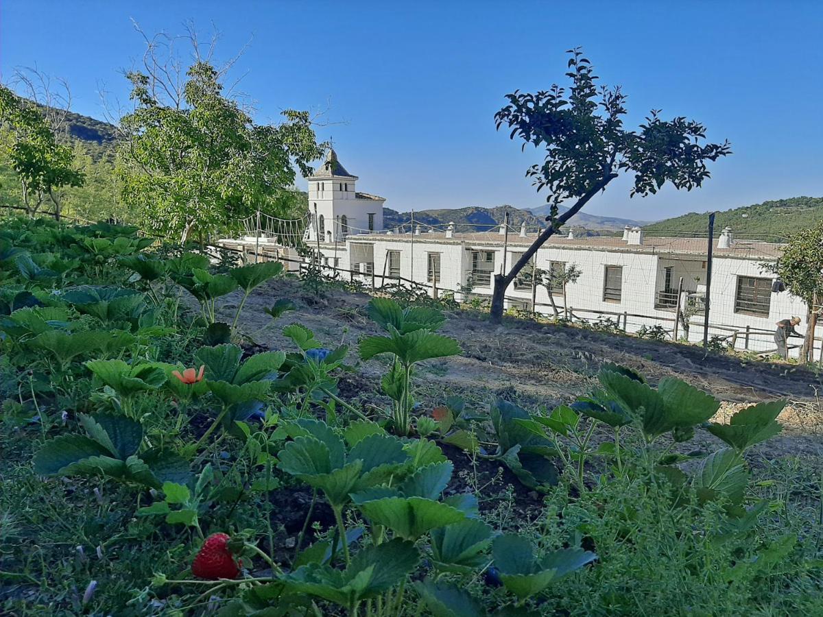 Hotel Apartamento Nueva Alcazaba Бускистар Экстерьер фото